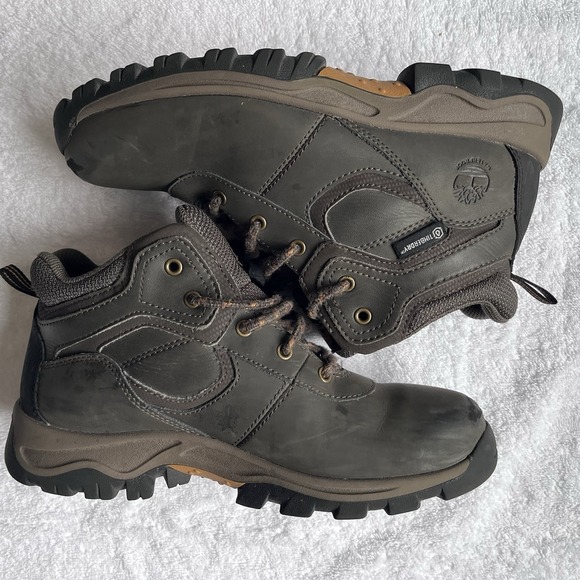 Timberland Dark Brown‎ Youth 3 Mt. Maddsen Waterproof Hiking Boot - Picture 4 of 8
